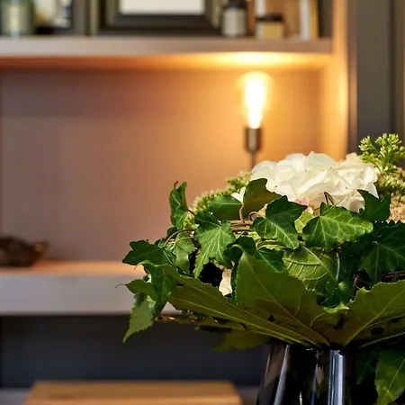 My For - Tasso Style