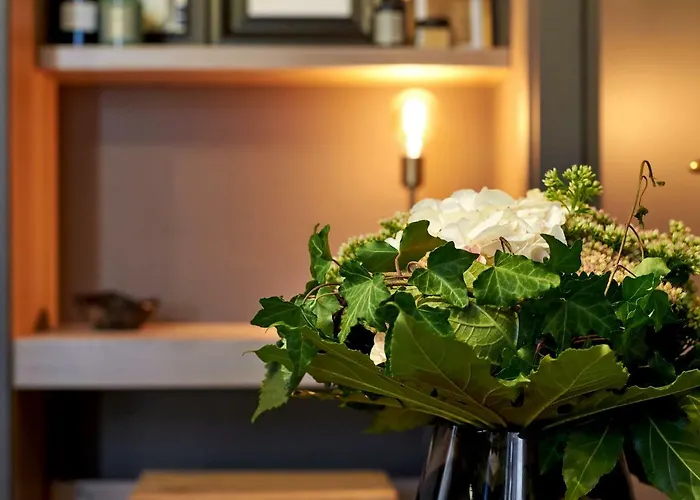 My For - Tasso Style